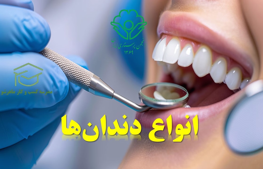 دندان‌ها